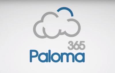 Оплата услуг Paloma365 через Qiwi терминал